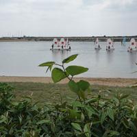 initiation à la voile